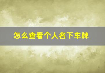 怎么查看个人名下车牌