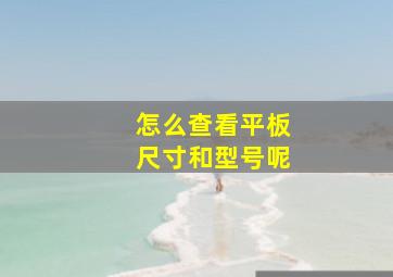 怎么查看平板尺寸和型号呢