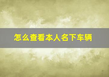 怎么查看本人名下车辆