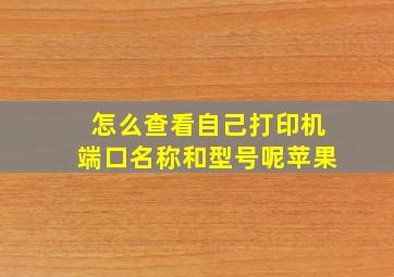 怎么查看自己打印机端口名称和型号呢苹果