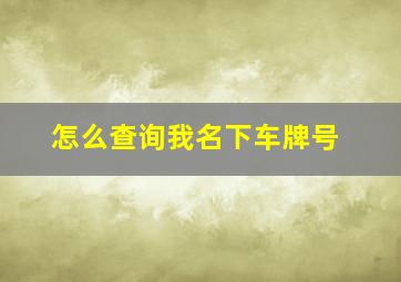 怎么查询我名下车牌号