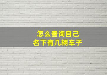 怎么查询自己名下有几辆车子