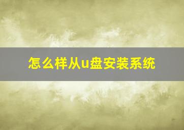 怎么样从u盘安装系统