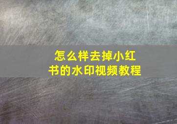 怎么样去掉小红书的水印视频教程