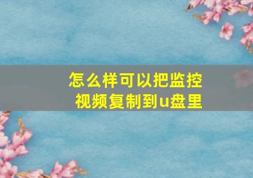 怎么样可以把监控视频复制到u盘里