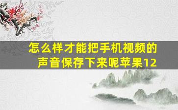 怎么样才能把手机视频的声音保存下来呢苹果12