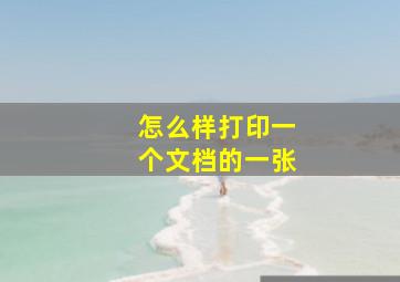 怎么样打印一个文档的一张