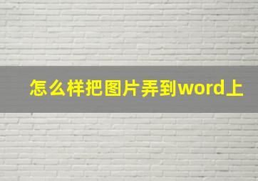 怎么样把图片弄到word上