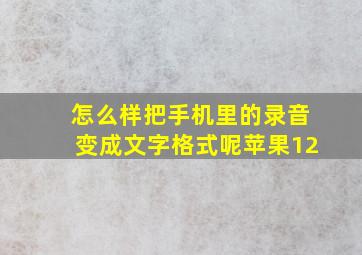 怎么样把手机里的录音变成文字格式呢苹果12