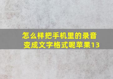 怎么样把手机里的录音变成文字格式呢苹果13