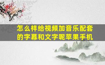 怎么样给视频加音乐配套的字幕和文字呢苹果手机