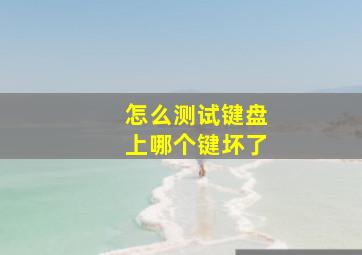 怎么测试键盘上哪个键坏了