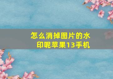 怎么消掉图片的水印呢苹果13手机