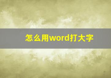 怎么用word打大字