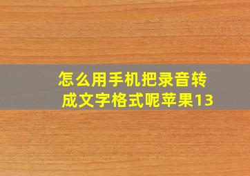 怎么用手机把录音转成文字格式呢苹果13