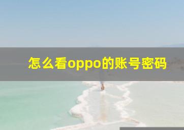 怎么看oppo的账号密码