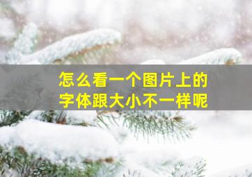 怎么看一个图片上的字体跟大小不一样呢