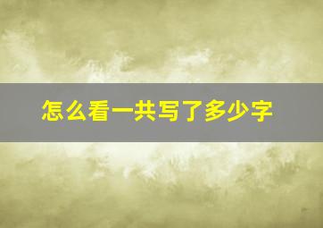 怎么看一共写了多少字