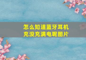 怎么知道蓝牙耳机充没充满电呢图片