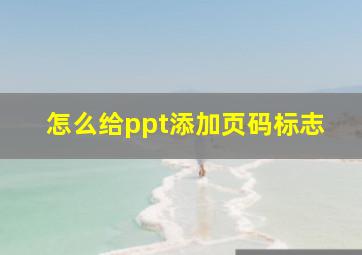 怎么给ppt添加页码标志