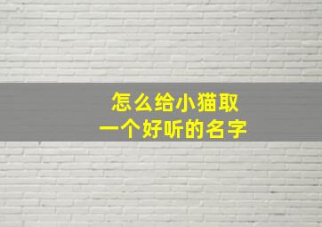 怎么给小猫取一个好听的名字