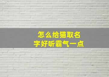 怎么给猫取名字好听霸气一点