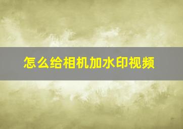 怎么给相机加水印视频