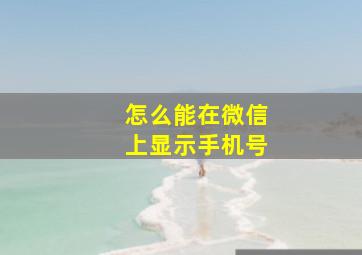 怎么能在微信上显示手机号