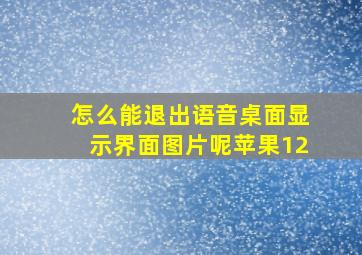 怎么能退出语音桌面显示界面图片呢苹果12