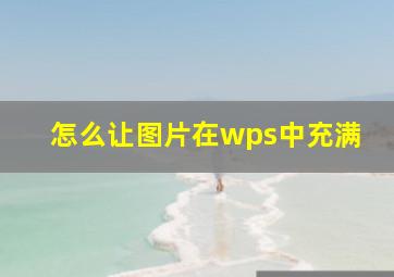 怎么让图片在wps中充满