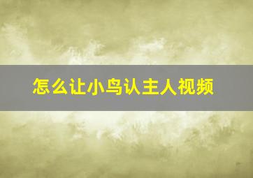 怎么让小鸟认主人视频