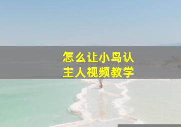 怎么让小鸟认主人视频教学