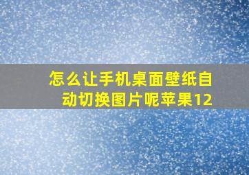 怎么让手机桌面壁纸自动切换图片呢苹果12