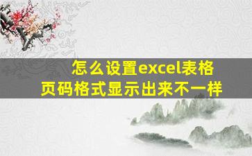 怎么设置excel表格页码格式显示出来不一样