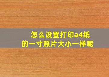 怎么设置打印a4纸的一寸照片大小一样呢