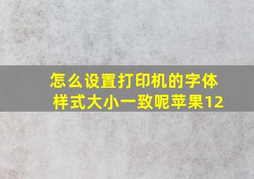 怎么设置打印机的字体样式大小一致呢苹果12