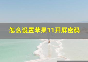 怎么设置苹果11开屏密码