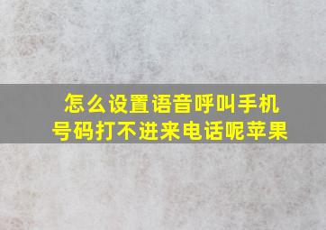 怎么设置语音呼叫手机号码打不进来电话呢苹果