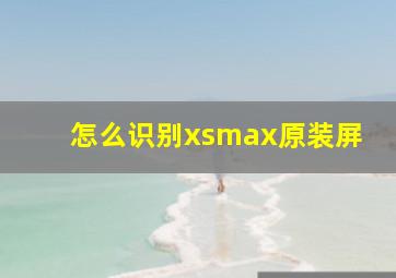 怎么识别xsmax原装屏