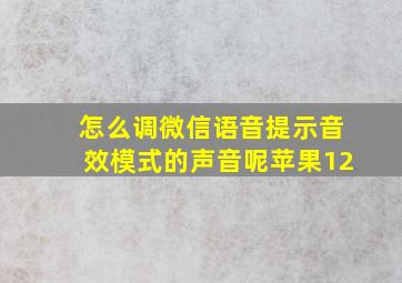 怎么调微信语音提示音效模式的声音呢苹果12