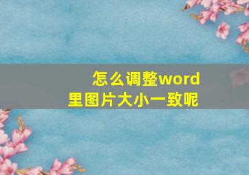 怎么调整word里图片大小一致呢