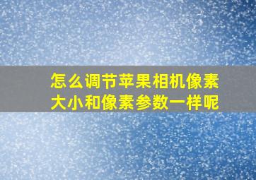 怎么调节苹果相机像素大小和像素参数一样呢