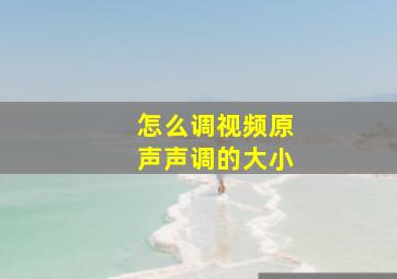 怎么调视频原声声调的大小