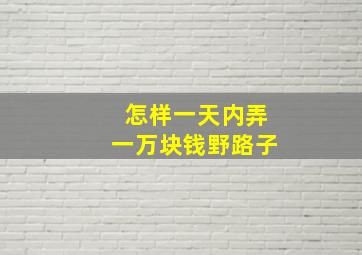 怎样一天内弄一万块钱野路子