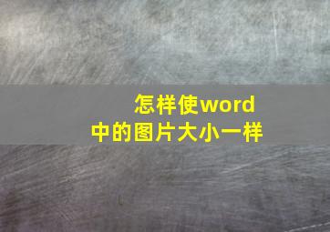 怎样使word中的图片大小一样