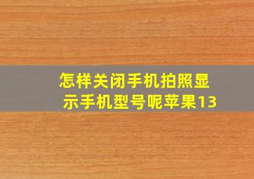 怎样关闭手机拍照显示手机型号呢苹果13