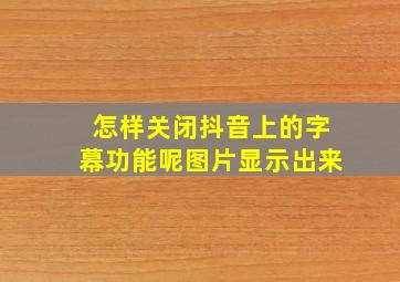 怎样关闭抖音上的字幕功能呢图片显示出来