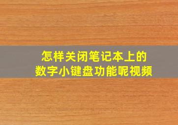 怎样关闭笔记本上的数字小键盘功能呢视频