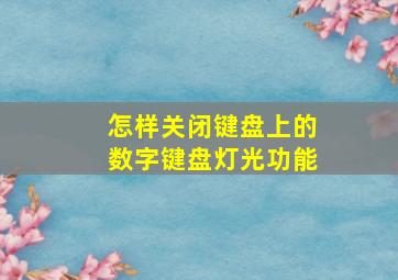 怎样关闭键盘上的数字键盘灯光功能