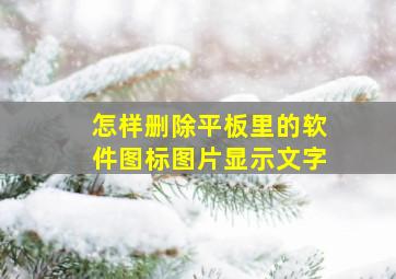 怎样删除平板里的软件图标图片显示文字